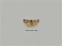 藏品(夜蛾759)的圖片